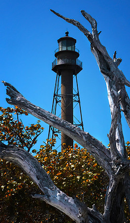 Sanibel Snag 003 small