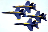 216068_409952929053669_137047266_n