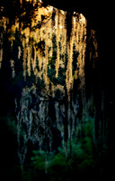 13122981_1063150507067238_404184249590449394_o_1063150507067238