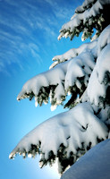 new snow_filtered toned 8x10