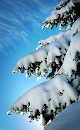 new snow_filtered toned 8x10