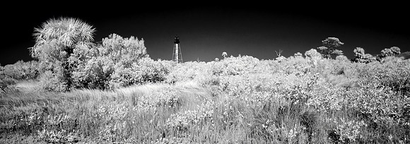 Anclote Key Infrared 005 small