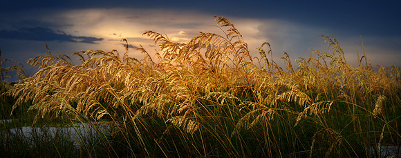 Clearing Summer Storm Over Sea Oats 001