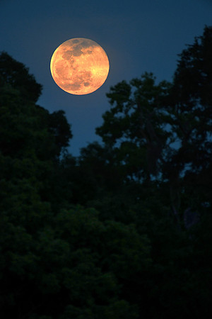 full moon colson park 003
