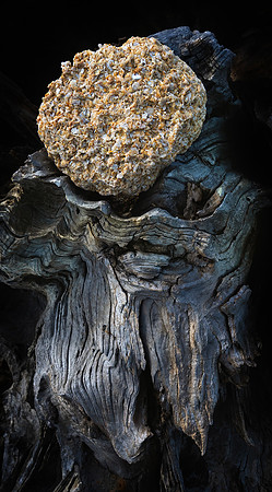 cocina and wood 001 small