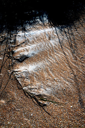 Anastasia dunes 002 small