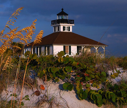 Boca Grande sea oats 002 ver 2 small